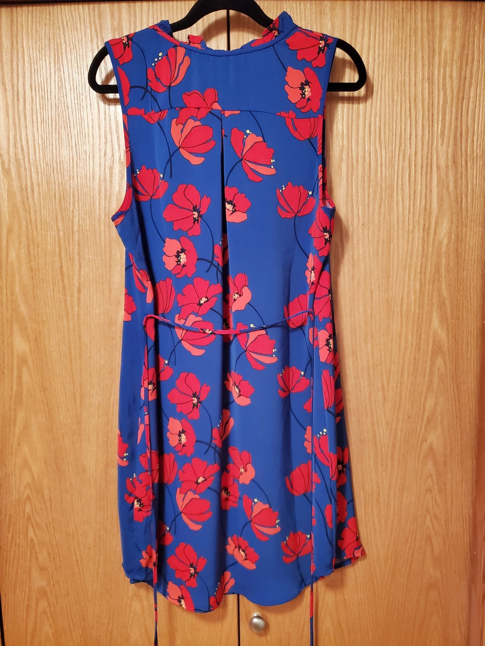 41 Hawthorn Blue Dress with Red Floral Print - Picture 4 of 9